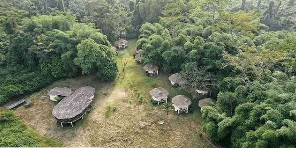 Parc National de Taï